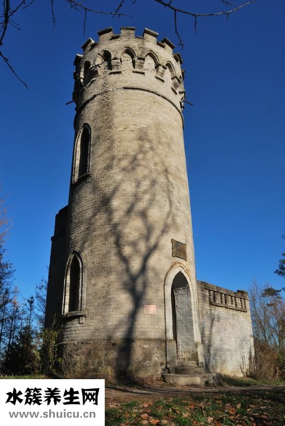 帶牙套不疼怎么回事