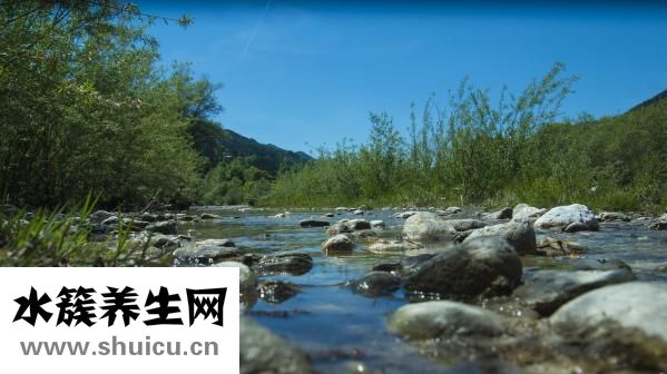 喝了牛奶胃疼怎么辦