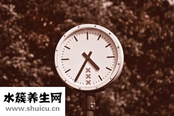 南海子麋鹿苑怎么走