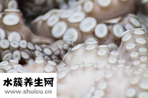 章魚(yú)的烏魚(yú)怎么吃