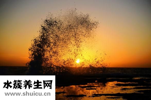 酸奶菌怎么保存