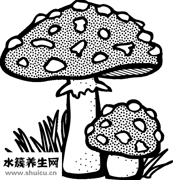 腳汗很多怎么辦