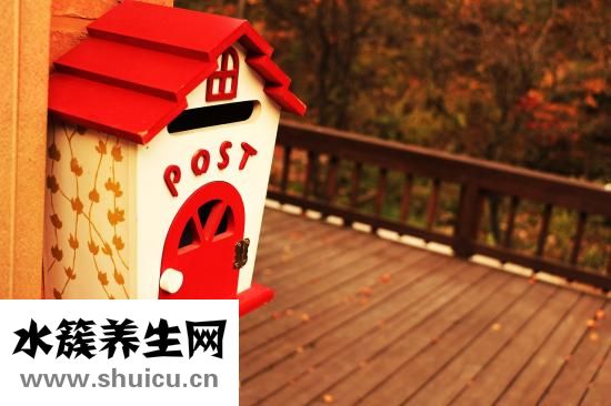 老公老是說謊怎么辦