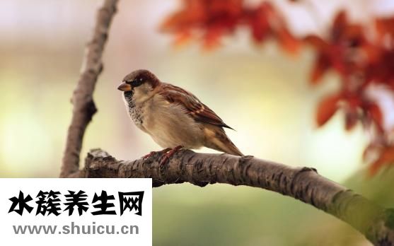 怎么才能治療早泄