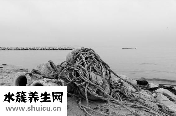 章魚(yú)的烏魚(yú)怎么吃