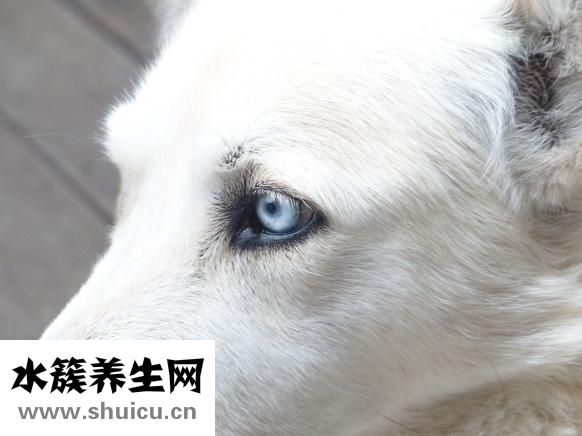 眼鏡片磨花了怎么辦