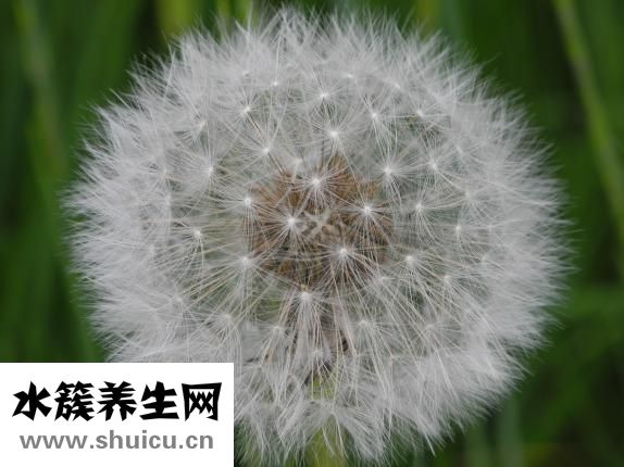 應該怎么對待婆婆