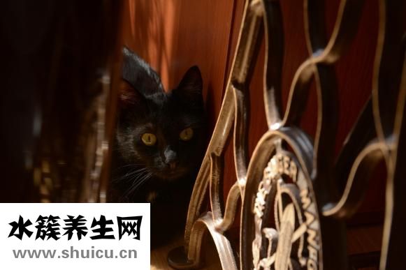 嬰兒揉眼睛怎么回事