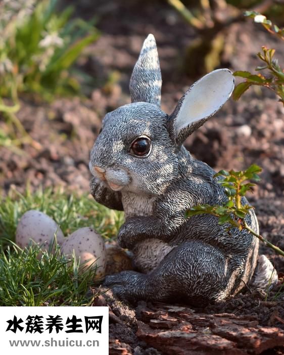 火火兔怎么刪除錄音