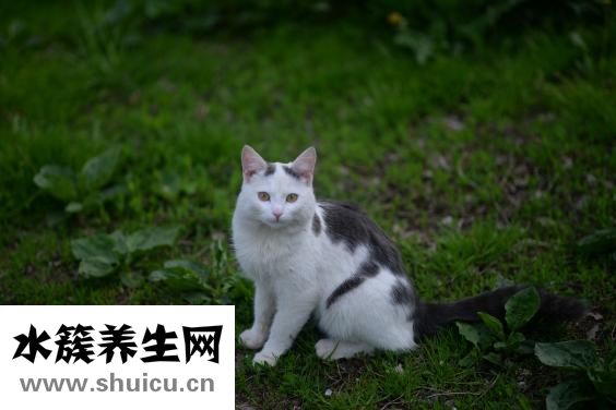 眼鏡腿短怎么辦