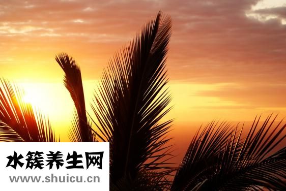 衣服長黑點怎么洗