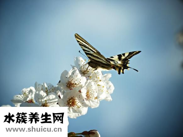 很討厭自己怎么辦