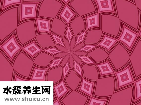 烤鴨飯的醬怎么做