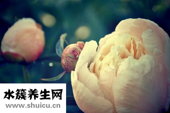 腸道出血怎么辦