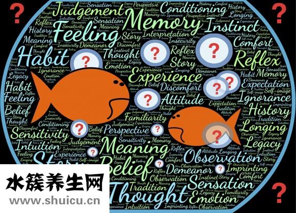 魚缸水綠了怎么辦