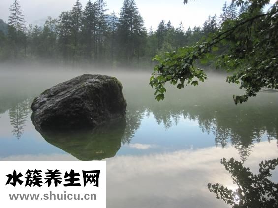 表里有水霧怎么辦