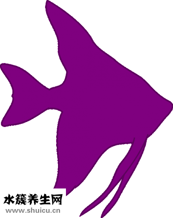 新鮮的海鮮怎么保存