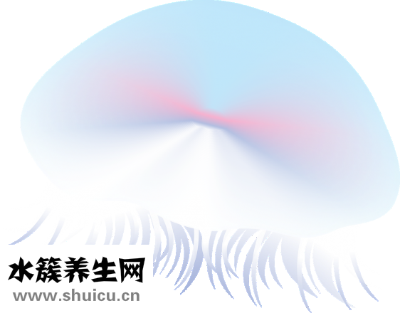 魚缸水綠了怎么辦