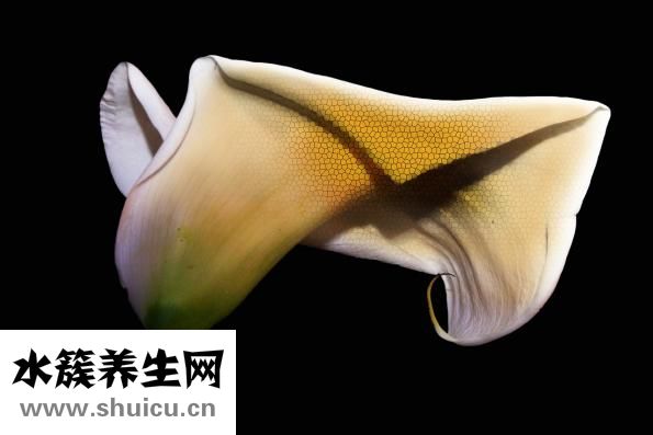 腸道出血怎么辦