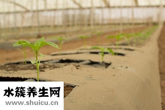 翡翠佛怎么開光