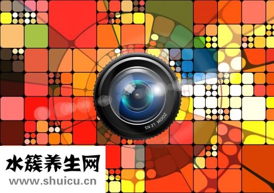 小蔥雞蛋湯怎么做