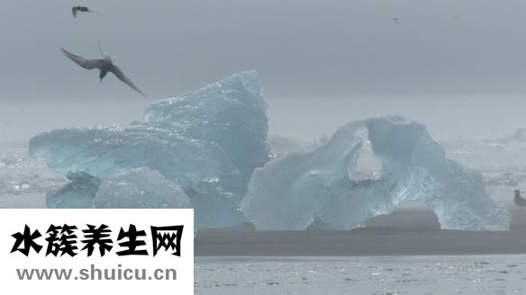 趙宏利的號(hào)子怎么掛