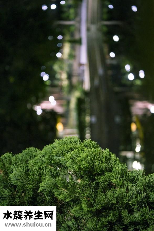 失眠用文言文怎么說(shuō)