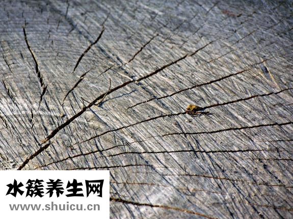 腸道出血怎么辦