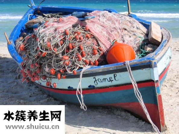 微波爐煮蛋器怎么用