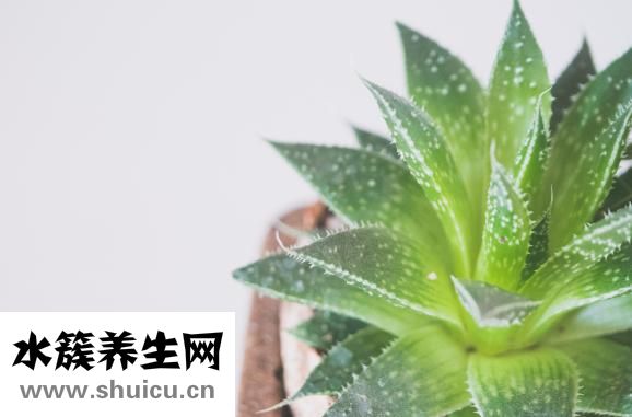 天生眼皮厚怎么變薄