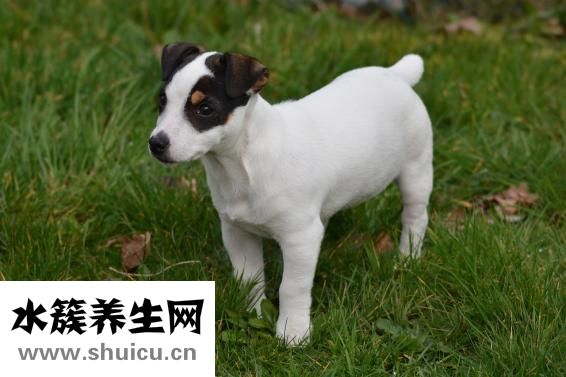 小孩出長(zhǎng)氣怎么回事