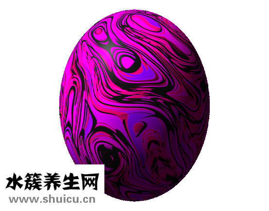 微波爐煮蛋器怎么用