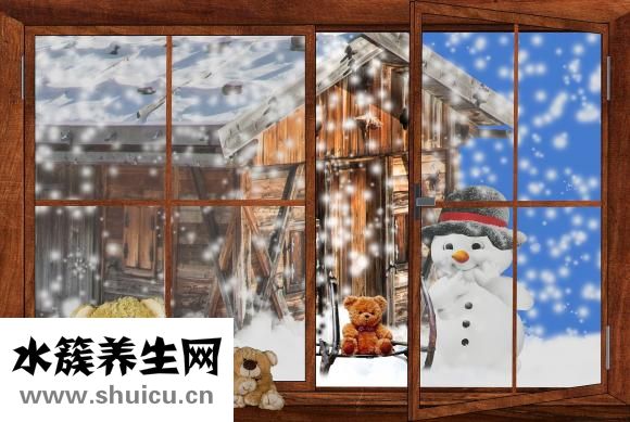 泰迪發(fā)燒了怎么辦