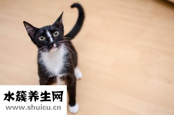 阿瞳怎么辨別真偽