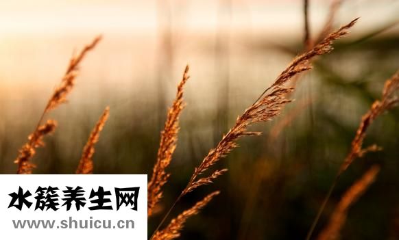 緊張心慌怎么辦