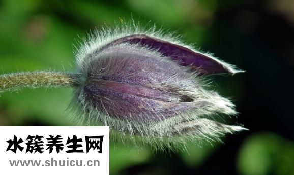 毛囊性丘疹怎么治