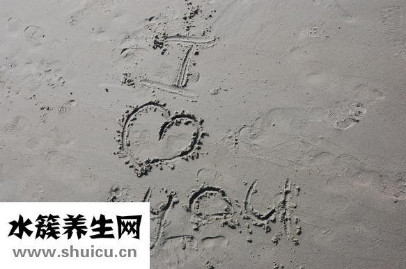 曬干的板栗怎么煮