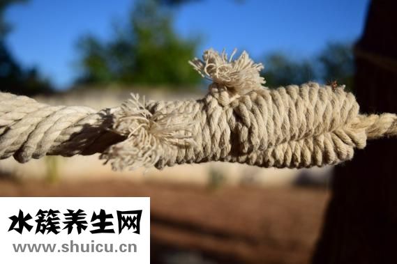 懷孕便秘該怎么辦