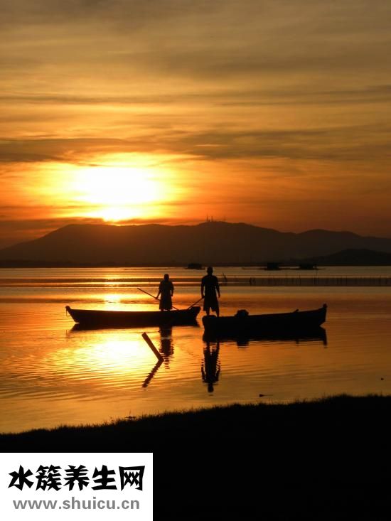 子宮虛是怎么形成的