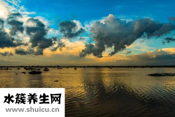 眉框疼是怎么回事