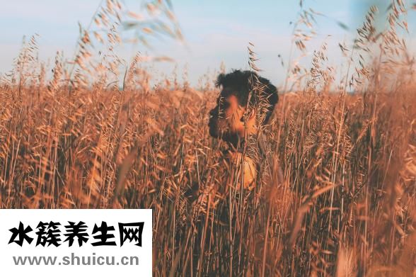 意志力薄弱怎么辦