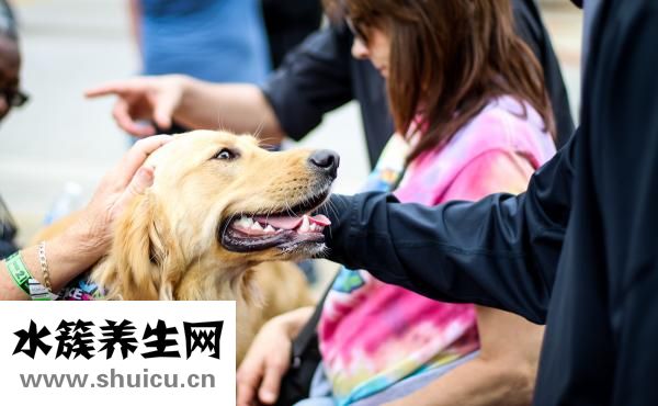 怎么看狗狗蛔蟲嗎