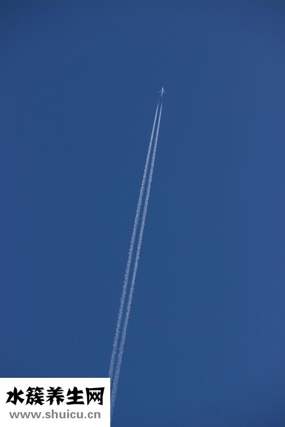 活鮑魚怎么儲存