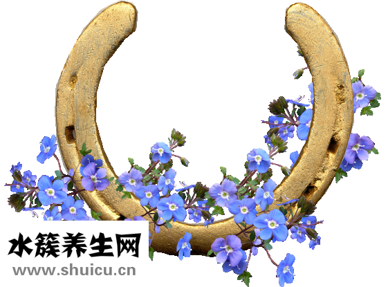 怎么能走出地球