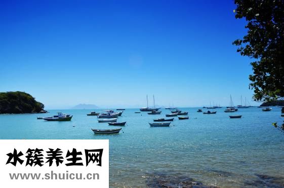 給長輩請帖怎么寫