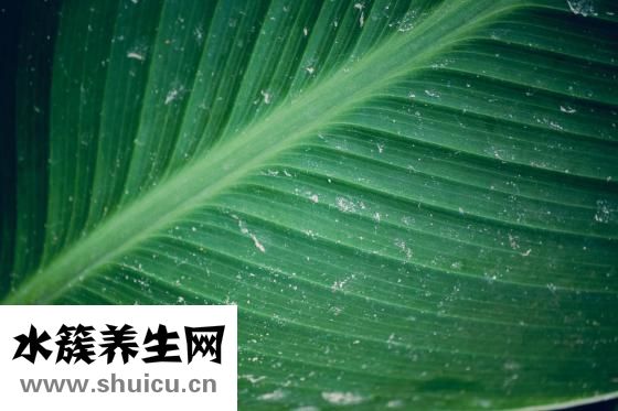 男生怎么瘦臉頰兩側