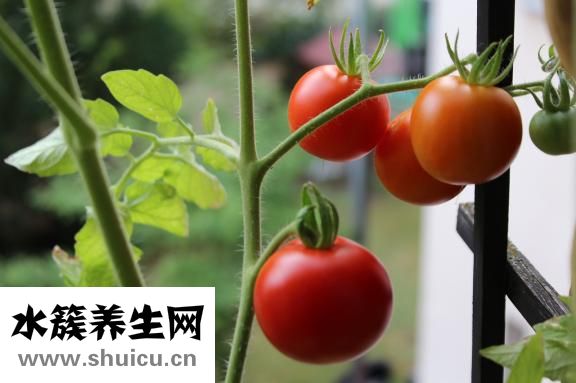 黃皮膚怎么美白