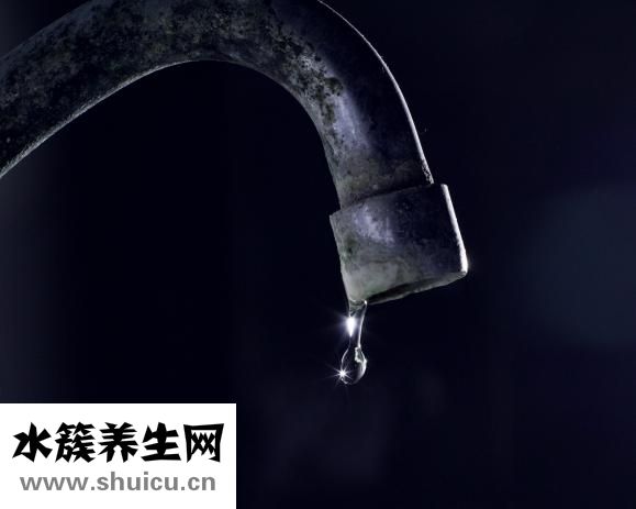 活鮑魚怎么儲存