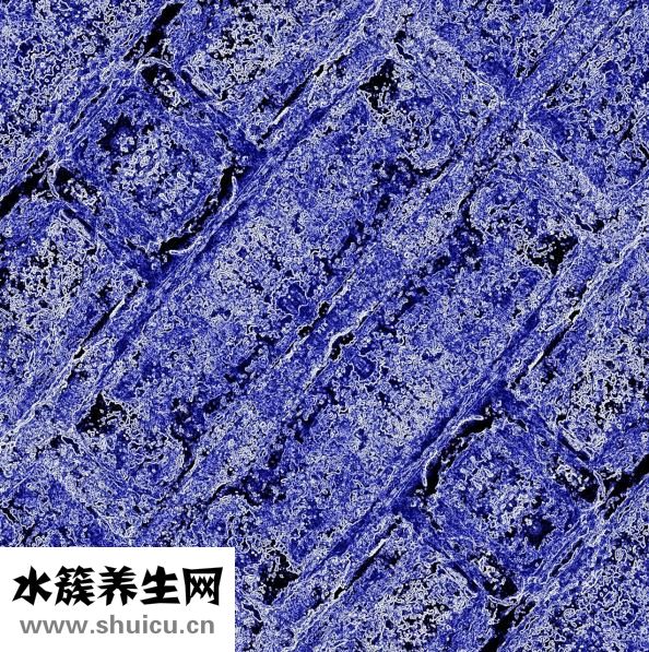 怎么知道角質(zhì)層厚