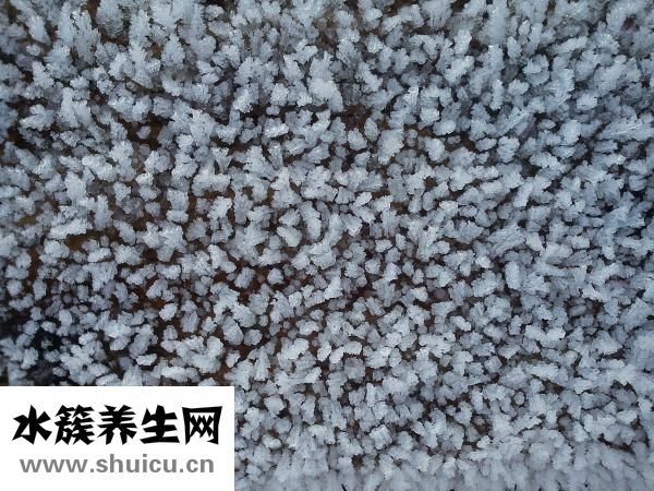 怎么知道角質(zhì)層厚